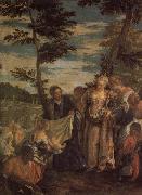 VERONESE (Paolo Caliari) Moses Saved from the Waters of the Nile oil painting reproduction